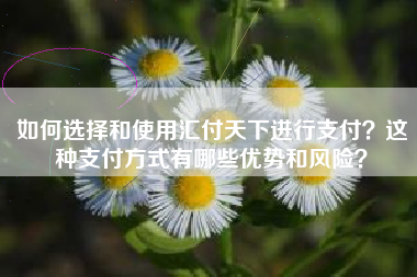 如何选择和使用汇付天下进行支付？这种支付方式有哪些优势和风险？