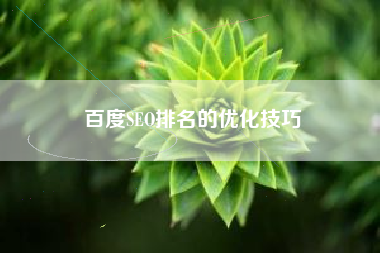 百度SEO排名的优化技巧