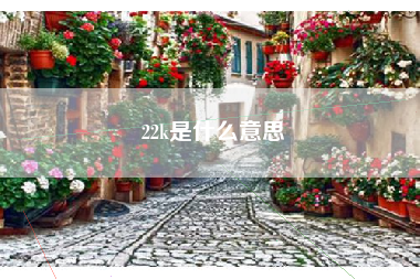 22k是什么意思