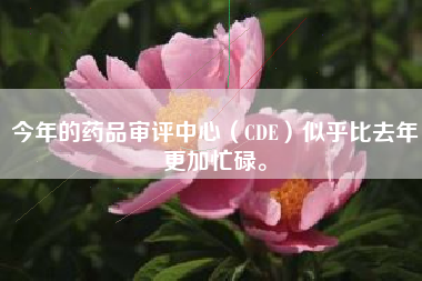 今年的药品审评中心（CDE）似乎比去年更加忙碌。
