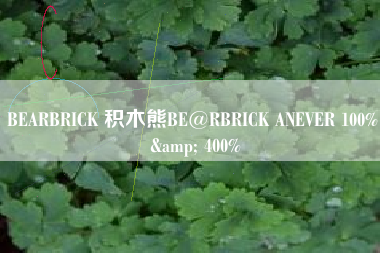 BEARBRICK 积木熊BE@RBRICK ANEVER 100% & 400%