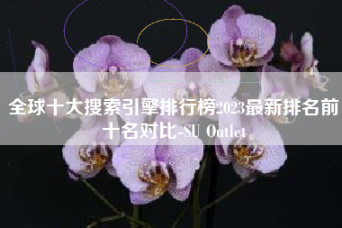 全球十大搜索引擎排行榜2023最新排名前十名对比-SU Outlet