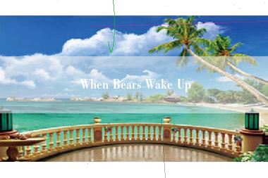 When Bears Wake Up