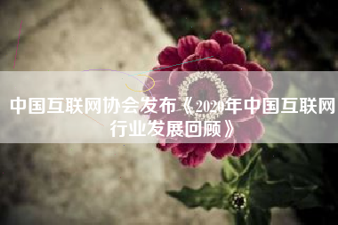 中国互联网协会发布《2020年中国互联网行业发展回顾》