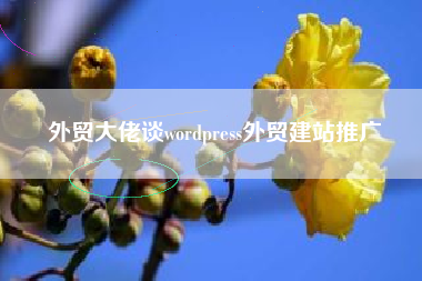 外贸大佬谈wordpress外贸建站推广