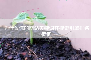 为什么你的网站关键词在搜索引擎排名很低
