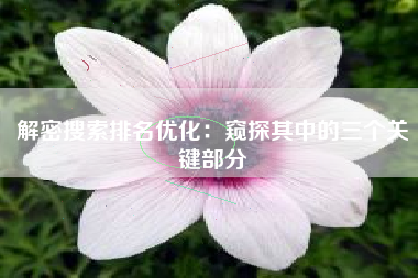 解密搜索排名优化：窥探其中的三个关键部分