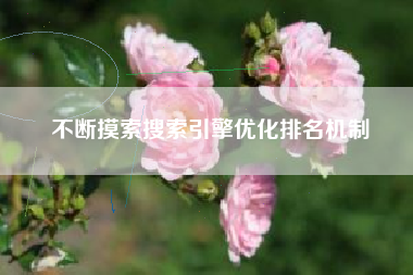 不断摸索搜索引擎优化排名机制