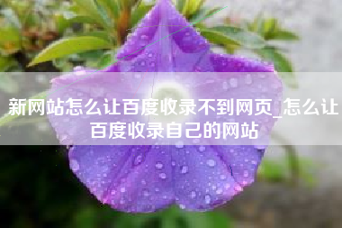 新网站怎么让百度收录不到网页_怎么让百度收录自己的网站