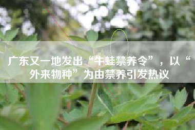 广东又一地发出“牛蛙禁养令”，以“外来物种”为由禁养引发热议