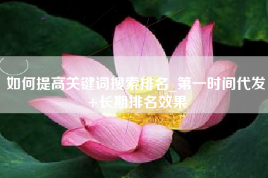 如何提高关键词搜索排名_第一时间代发+长期排名效果