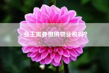 业主需要缴纳物业税吗？
