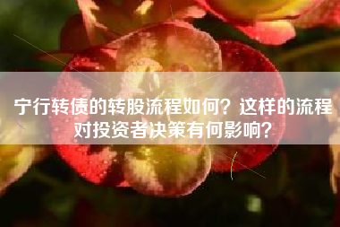 宁行转债的转股流程如何？这样的流程对投资者决策有何影响？