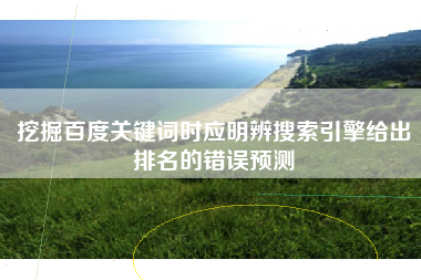 挖掘百度关键词时应明辨搜索引擎给出排名的错误预测