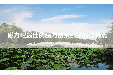 磁力吧最佳的磁力搜索引擎软件特点
