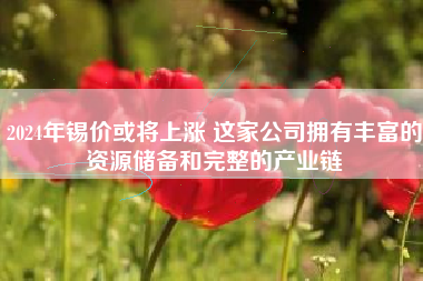 2024年锡价或将上涨 这家公司拥有丰富的资源储备和完整的产业链