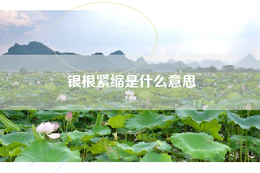 银根紧缩是什么意思