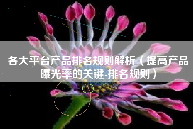 各大平台产品排名规则解析（提高产品曝光率的关键-排名规则）