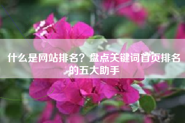 什么是网站排名？盘点关键词首页排名的五大助手