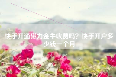 快手开通磁力金牛收费吗？快手开户多少钱一个月