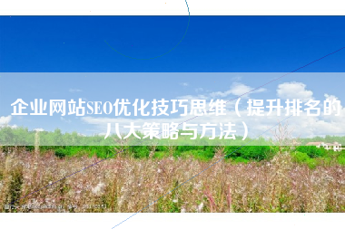企业网站SEO优化技巧思维（提升排名的八大策略与方法）