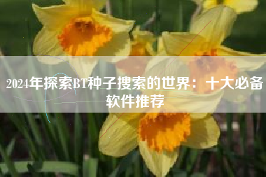 2024年探索BT种子搜索的世界：十大必备软件推荐