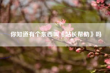 你知道有个东西叫《站长帮助》吗