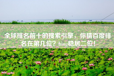 全球排名前十的搜索引擎，你猜百度排名在第几位？bing稳居二位！