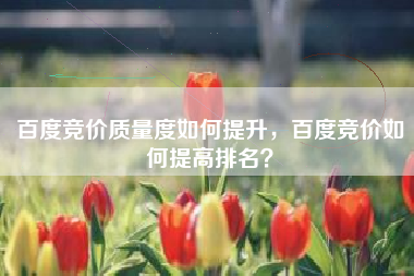 百度竞价质量度如何提升，百度竞价如何提高排名？