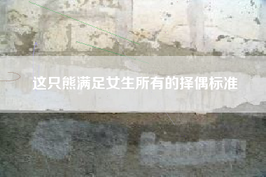 这只熊满足女生所有的择偶标准
