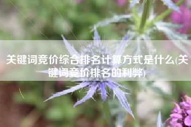 关键词竞价综合排名计算方式是什么(关键词竞价排名的利弊)