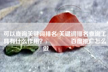 可以查询关键词排名(关键词排名查询工具有什么作用？)👈百度推广怎么做👈