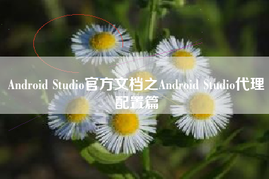 Android Studio官方文档之Android Studio代理配置篇