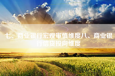 七、商业银行宏观审慎维度八、商业银行信贷投向维度 七、商业银行宏观审慎维度八、商业银行信贷投向维度