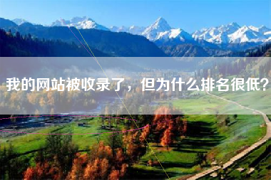 我的网站被收录了，但为什么排名很低？