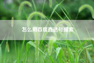 怎么用百度直达号搜索