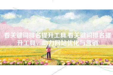 看关键词排名提升工具,看关键词排名提升工具，助力网站优化与营销