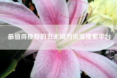 最值得推荐的五大磁力资源搜索平台