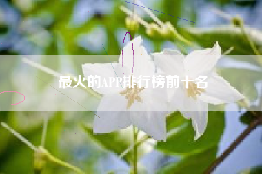 最火的APP排行榜前十名