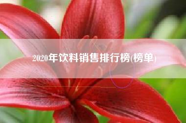2020年饮料销售排行榜(榜单)
