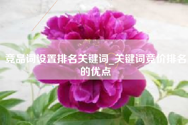 竞品词设置排名关键词_关键词竞价排名的优点