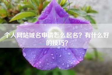 个人网站域名申请怎么起名？有什么好的技巧？
