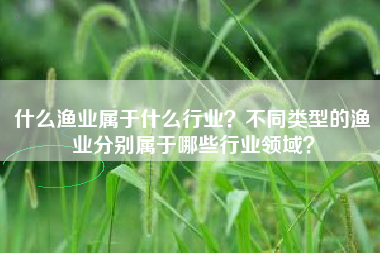 什么渔业属于什么行业？不同类型的渔业分别属于哪些行业领域？