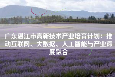 广东湛江市高新技术产业培育计划：推动互联网、大数据、人工智能与产业深度融合