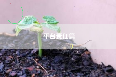 平台责任篇