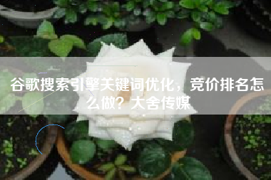 谷歌搜索引擎关键词优化，竞价排名怎么做？大舍传媒