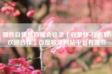 哪些自媒体百度会收录【收录快-排名好-欢迎合作】百度收录网站平台有哪些