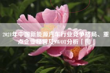2021年中国新能源汽车行业竞争格局、重点企业经营及SWOT分析「图」