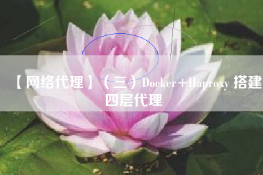 【网络代理】（三）Docker+Haproxy 搭建四层代理