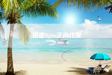 搭建Nginx正向代理 搭建Nginx正向代理